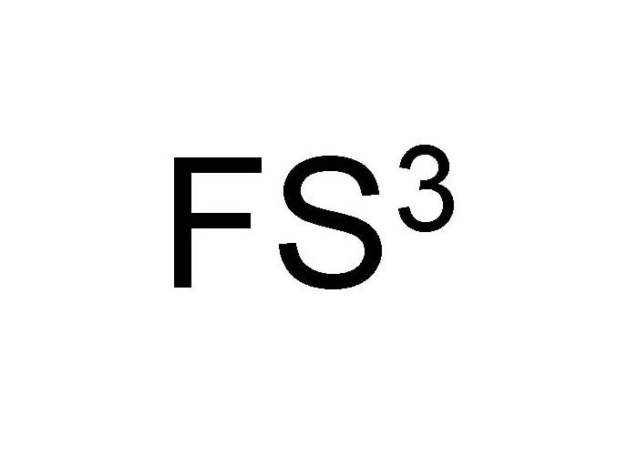  FS3