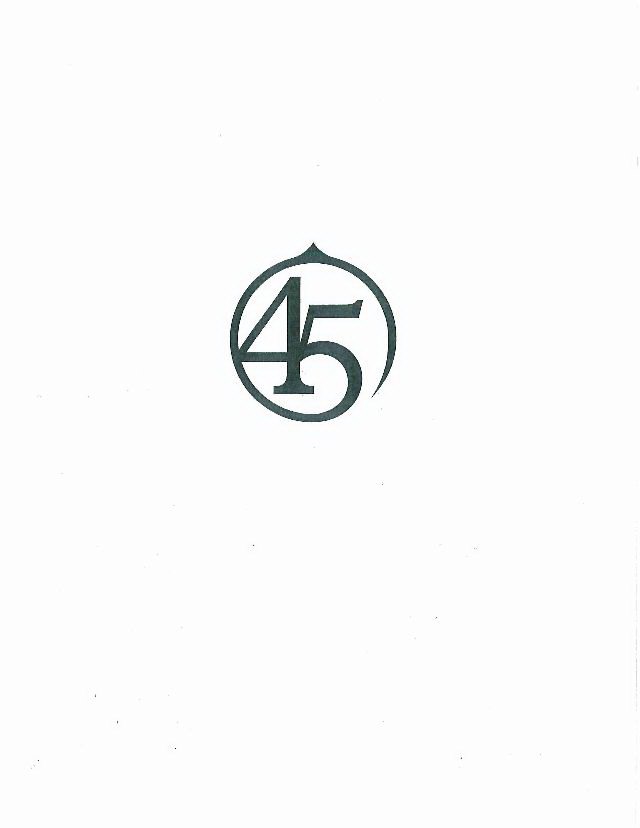 Trademark Logo 45