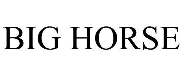 Trademark Logo BIG HORSE
