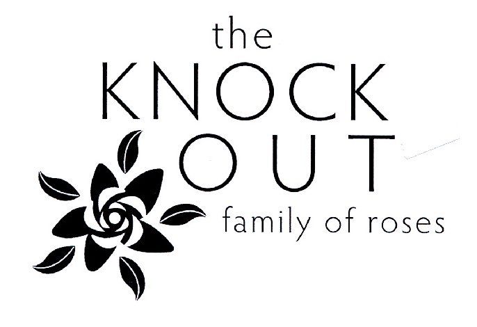  THE KNOCK OUT FAMILY OF ROSES