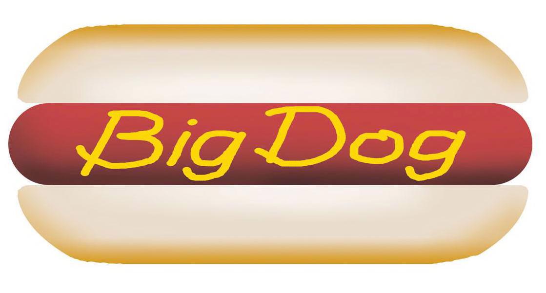 BIG DOG