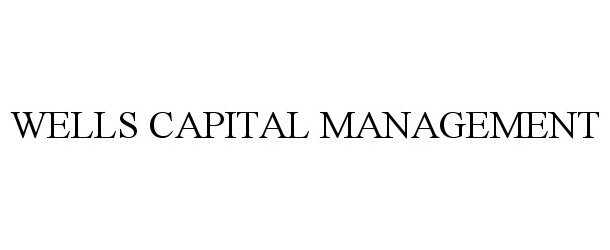  WELLS CAPITAL MANAGEMENT