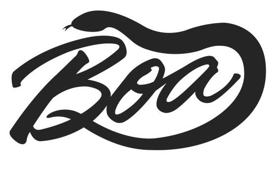 Trademark Logo BOA