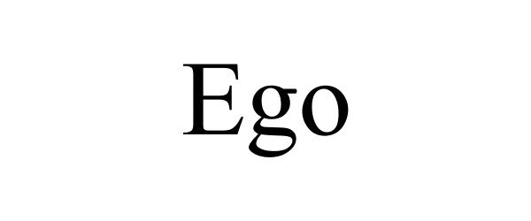  EGO