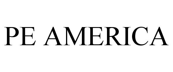 Trademark Logo PE AMERICA