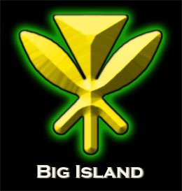 Trademark Logo BIG ISLAND