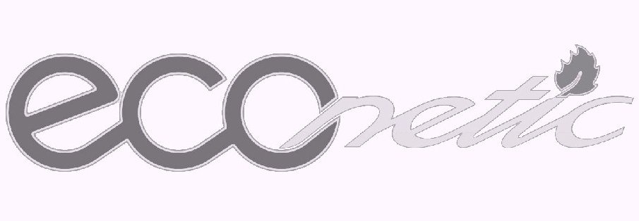 Trademark Logo ECONETIC