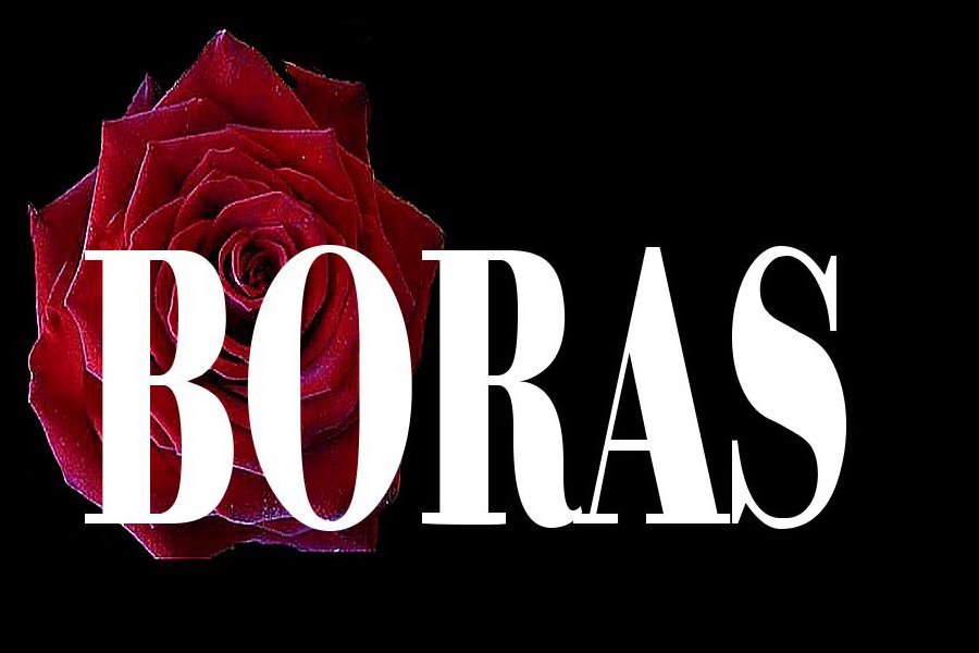 Trademark Logo BORAS