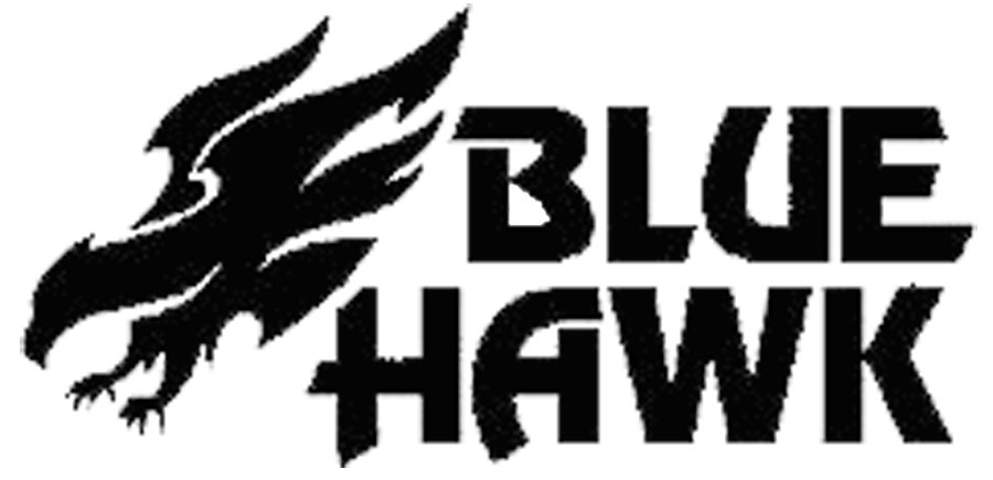 Trademark Logo BLUE HAWK