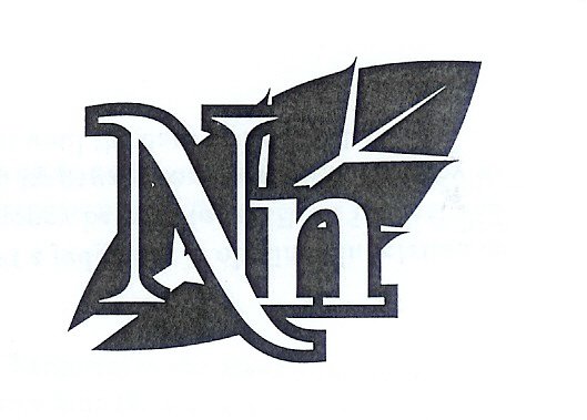 Trademark Logo NN