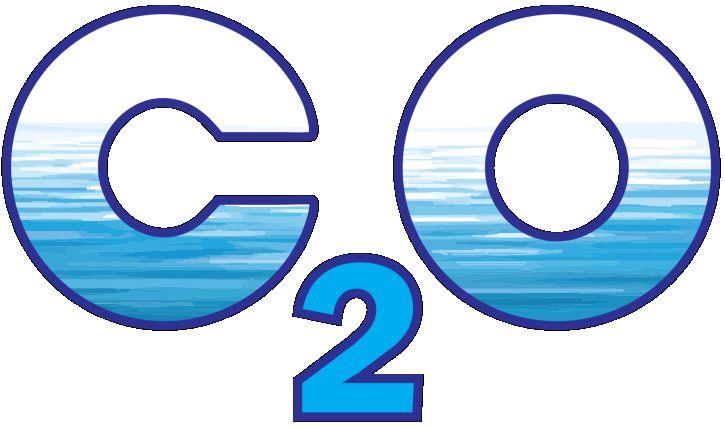 Trademark Logo C2O