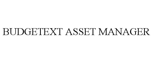  BUDGETEXT ASSET MANAGER