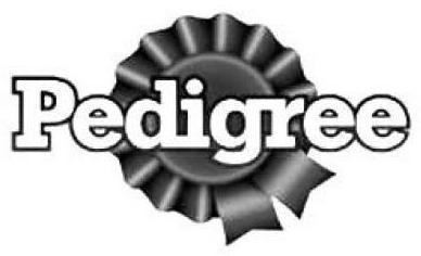Trademark Logo PEDIGREE
