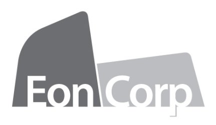  EON CORP