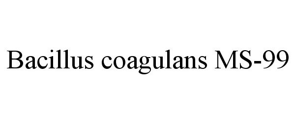  BACILLUS COAGULANS MS-99