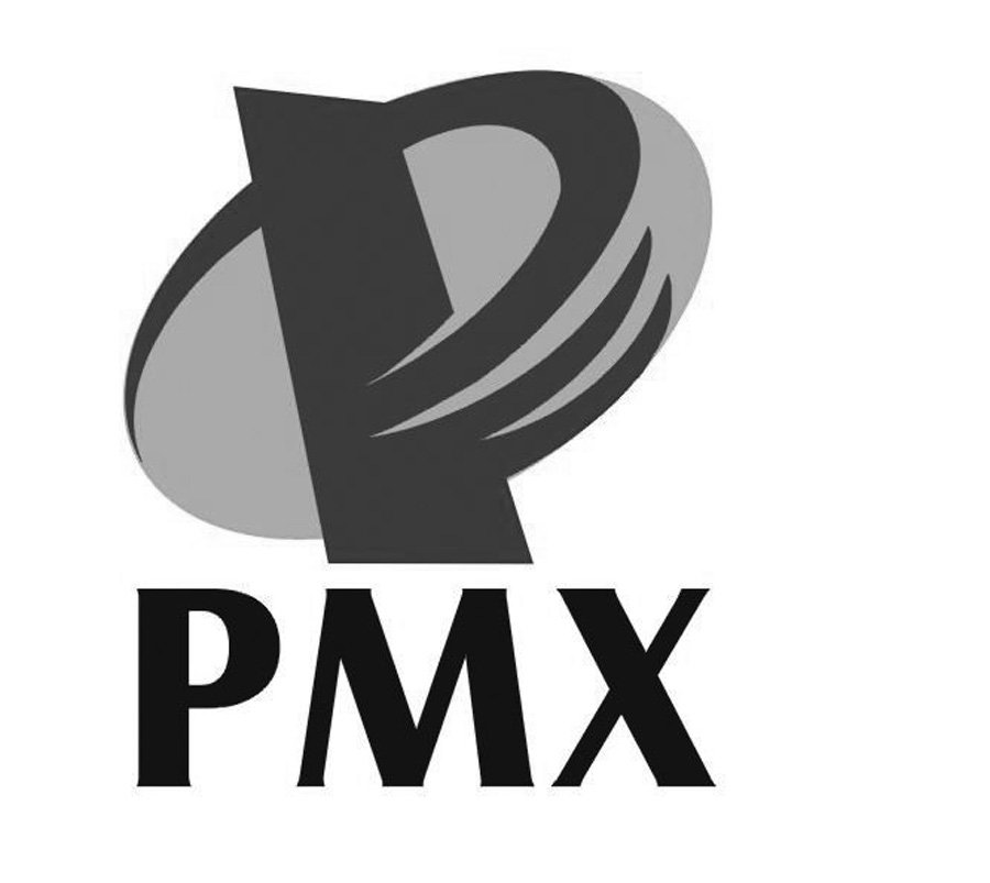 Trademark Logo PMX