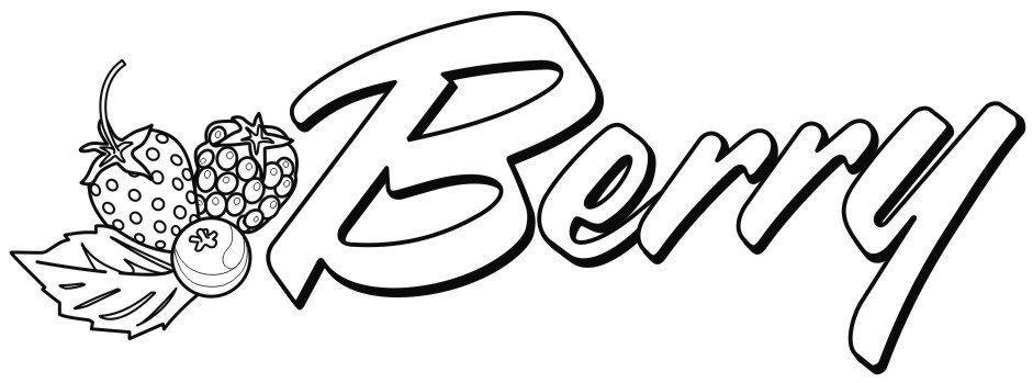 Trademark Logo BERRY