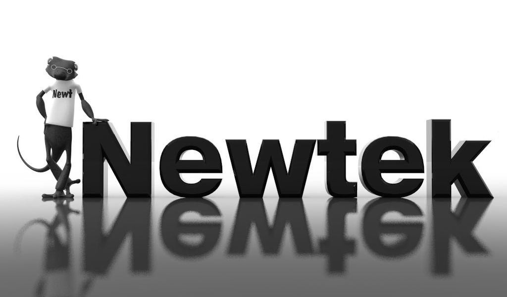  NEWT NEWTEK