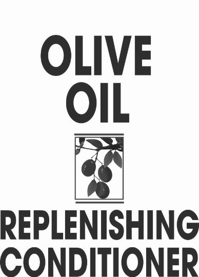  OLIVE OIL REPLENISHING CONDITIONER