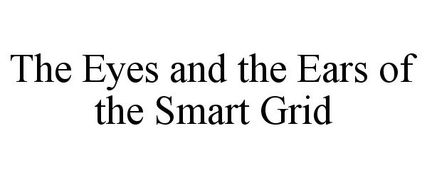  THE EYES AND THE EARS OF THE SMART GRID