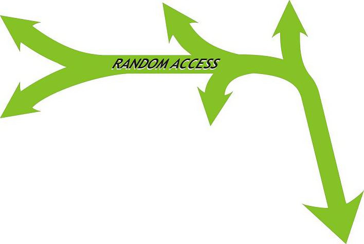 Trademark Logo RANDOM ACCESS