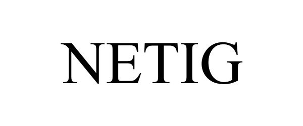 Trademark Logo NETIG