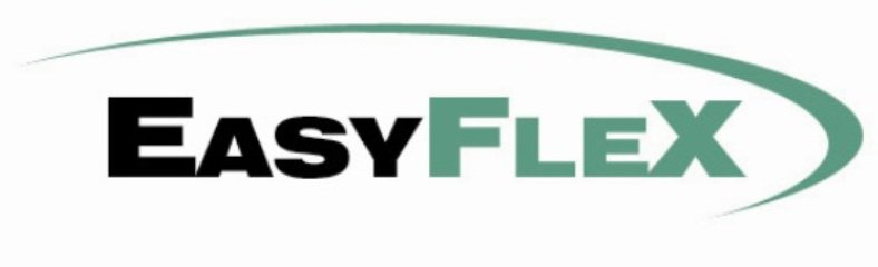 Trademark Logo EASYFLEX