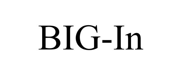  BIG-IN