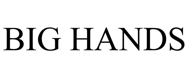 Trademark Logo BIG HANDS