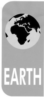 Trademark Logo EARTH