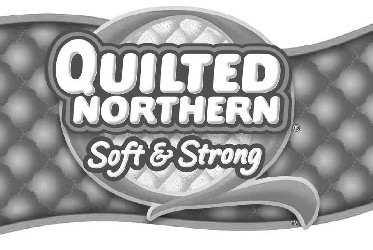 Trademark Logo Q QUILTED NORTHERN SOFT &amp; STRONG