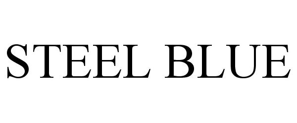 Trademark Logo STEEL BLUE