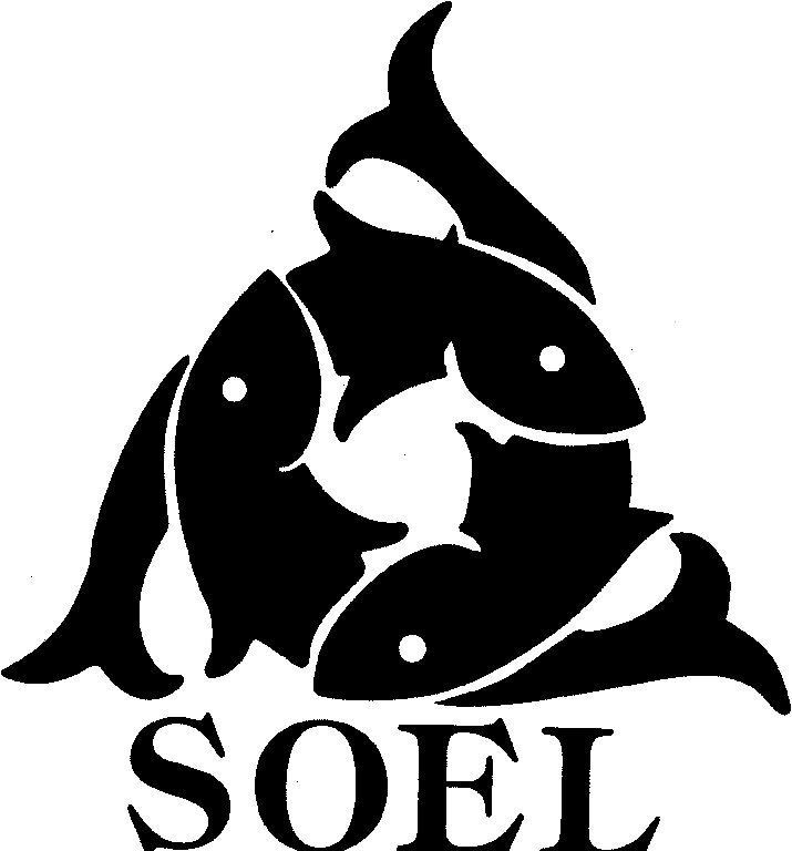 Trademark Logo SOEL