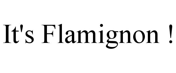 Trademark Logo IT'S FLAMIGNON !