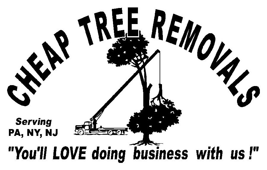  CHEAP TREE REMOVALS SERVING PA, NY, NJ "YOU'LL LOVE DOING BUSINESS WITH US"