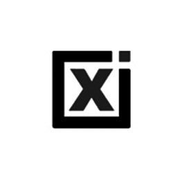 Trademark Logo X