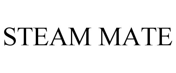 Trademark Logo STEAM MATE