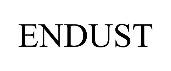  ENDUST