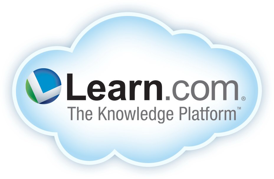 Trademark Logo LEARN.COM THE KNOWLEDGE PLATFORM