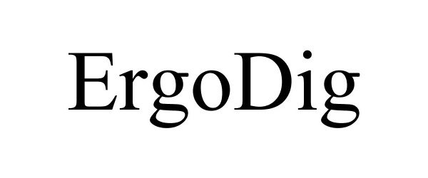  ERGODIG