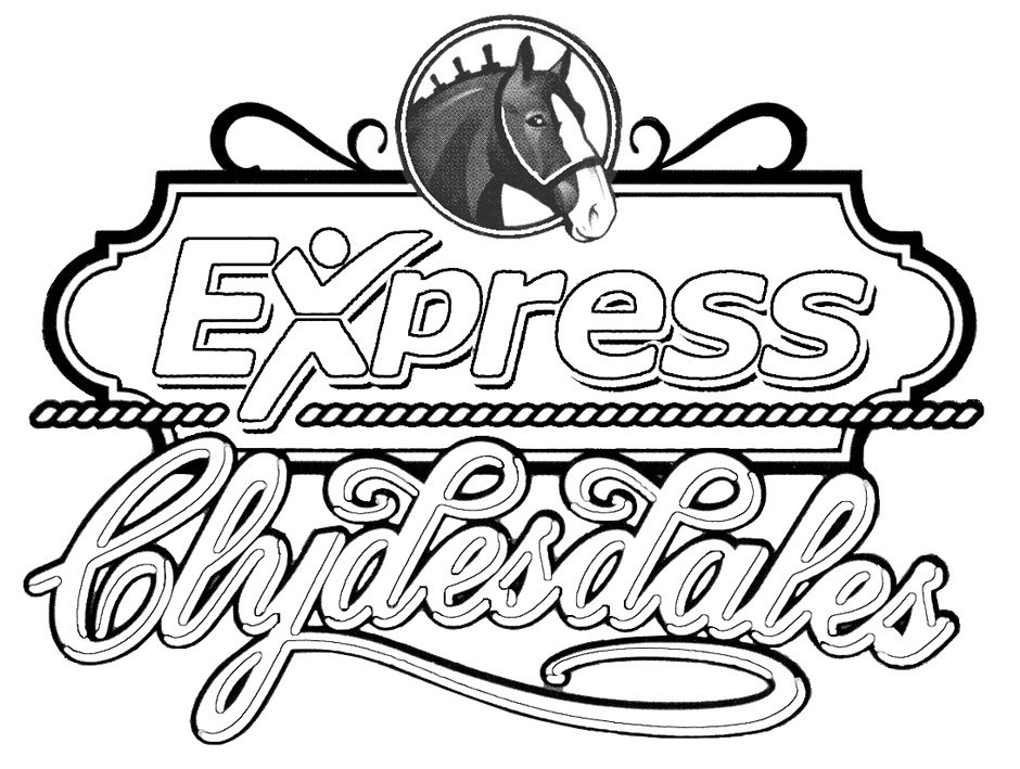 Trademark Logo EXPRESS CLYDESDALES
