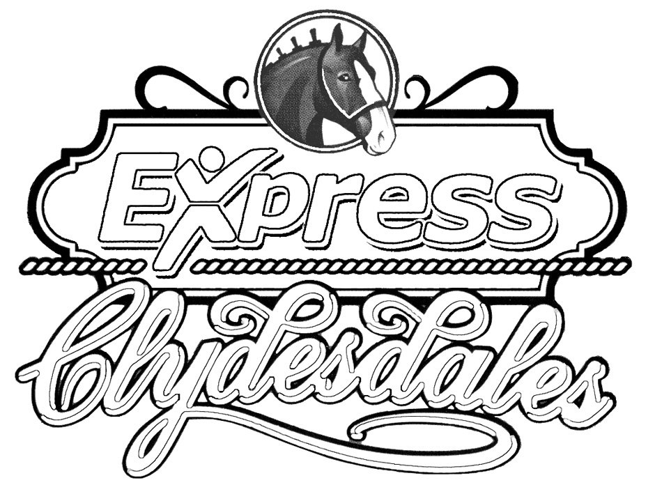 EXPRESS CLYDESDALES