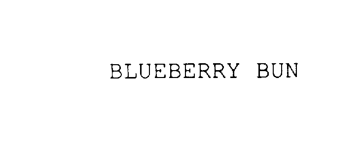  BLUEBERRY BUN