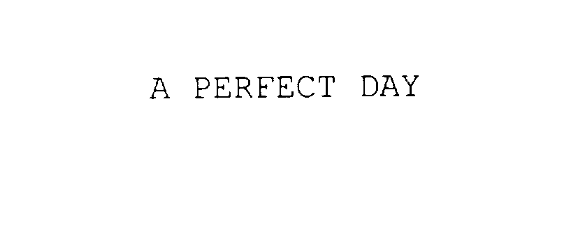 Trademark Logo A PERFECT DAY