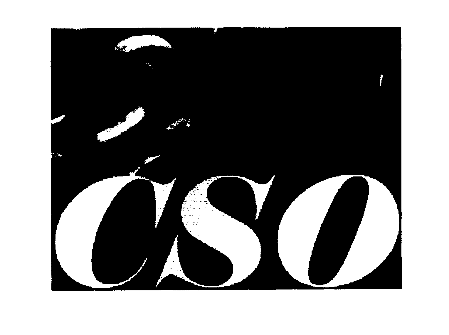 Trademark Logo CSO