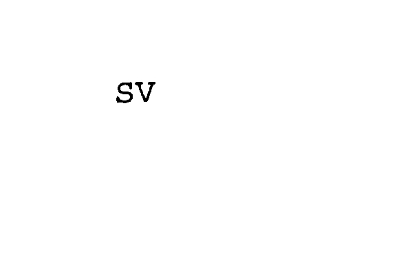  SV