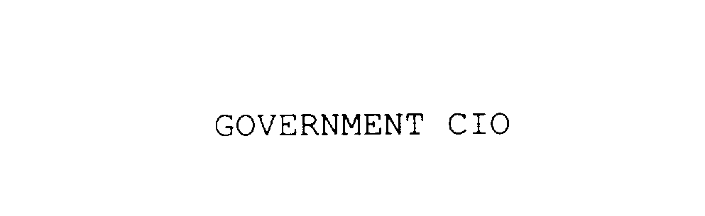  GOVERNMENT CIO