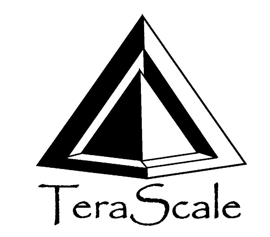 Trademark Logo TERASCALE