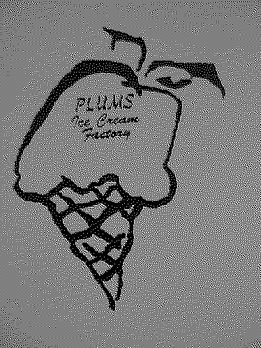  PLUMS ICE CREAM FACTORY