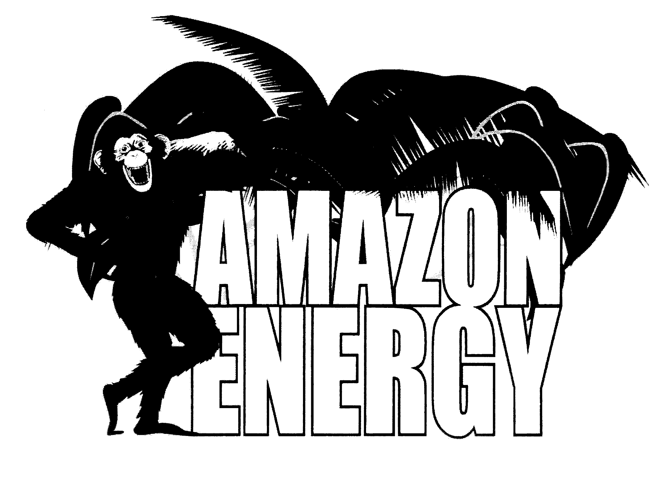  AMAZON ENERGY